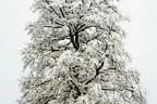 Winter Impressionen  Bild 7