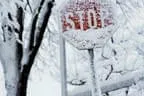 Winter Impressionen  Bild 5