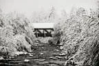 Winter Impressionen  Bild 4