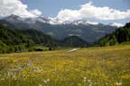 Sommer Impressionen Bild 8