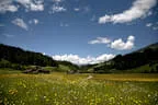 Sommer Impressionen Bild 7